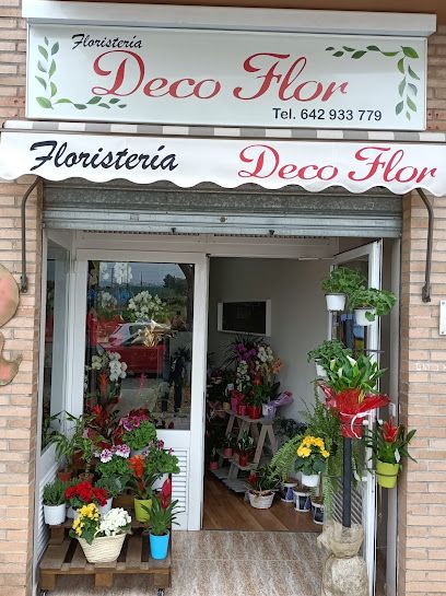 Floristería Decoflor Puzol