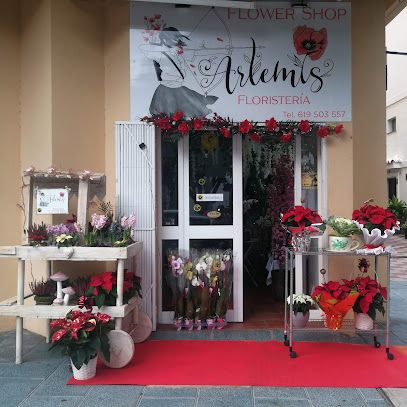 Artemis Floristería