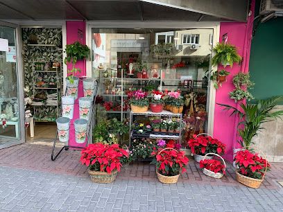 El Boulevard De Las Flores