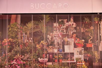 Floristeria Buccaro Alicante