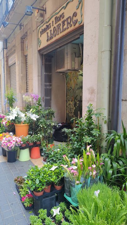 Llorenç Floristeria