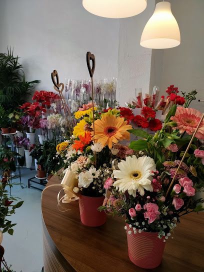 Floristería Las Camelias