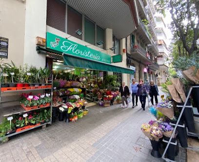 Bausà Flors s.l.u