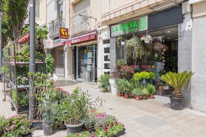 Flors La Selva- flors i plantes
