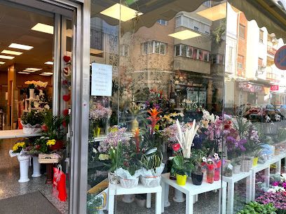 Floristería Isabel