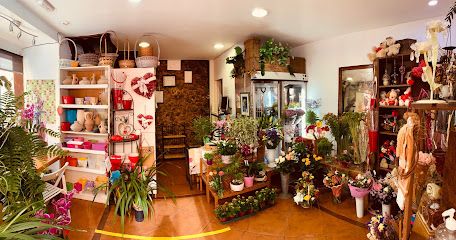 Floristería Beniflor - Mundo Botánico
