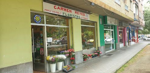 Carmen Reyes Floristas