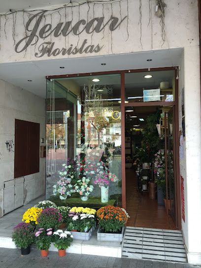 Floristería Jeucar
