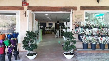 Floristería La Campana Santa Lucía