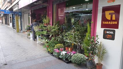 Floristería Leyva