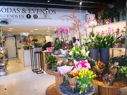 floristeria Torrens
