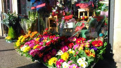 Floristería ROSABLANCA