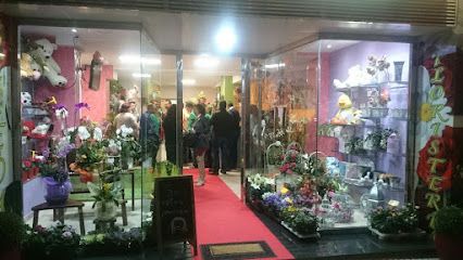 Becedas Floristería