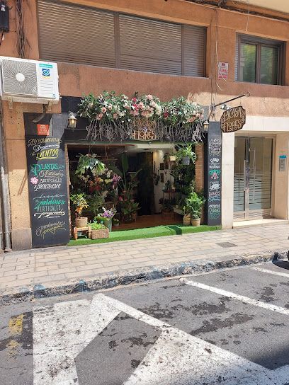La Casa de las Flores - Floristería en Alicante