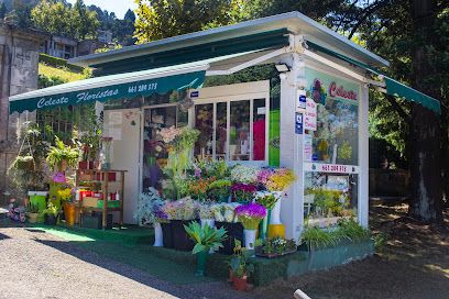 Celeste Floristas