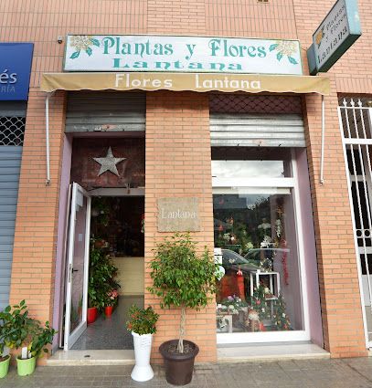 Flores Lantana