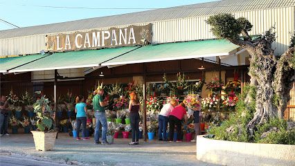 Floristeria La Campana San Antón