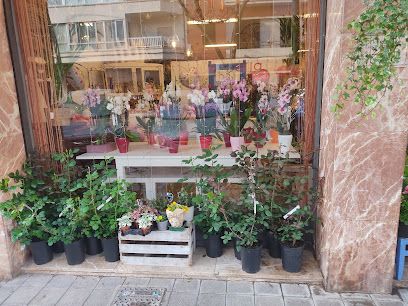 Floristería Las Palmeras