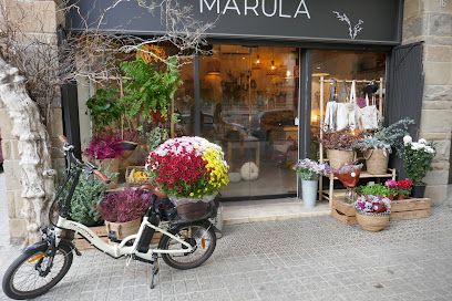 Marula