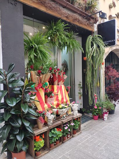 H. BRAGANÇA florist