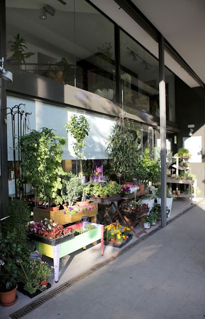 Ventura Floristes