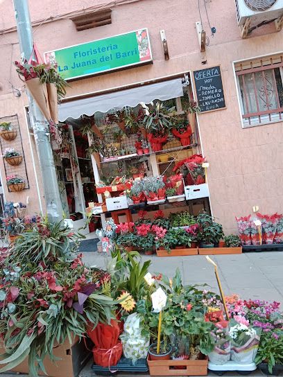 Floristería La Juana Del Barri 1979