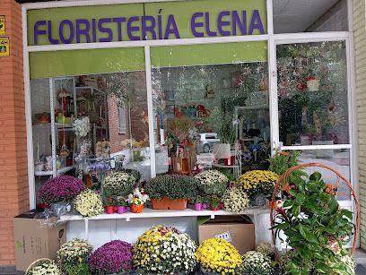 Floristeria Elena