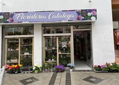 Floristeria cataleya