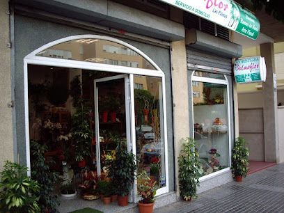 Floristería Dalmaflor