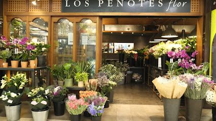 Floristería Verdecora CC Carrefour Alcobendas