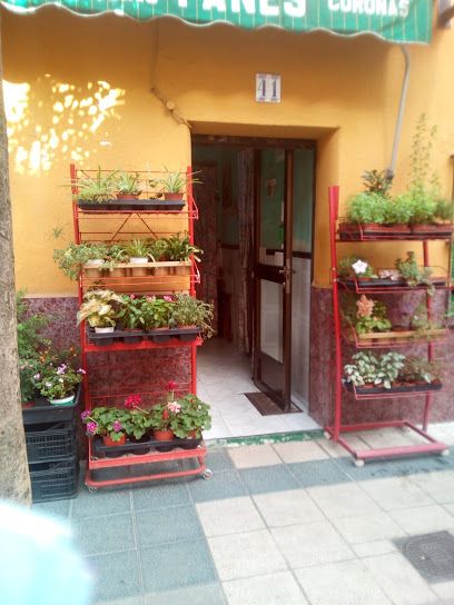 Floristería Panes