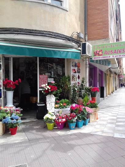 Floristeria Rosales