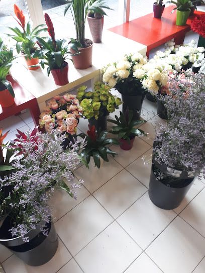 Flores Guillén
