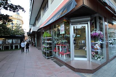 Floristería La Aurora