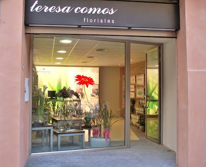 Teresa Comos floristes