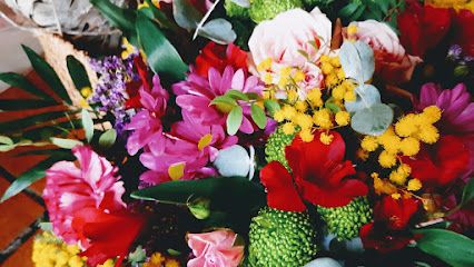 Pura Vida flors i plantes